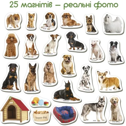 Дитячий розвиваючий набір магнітів "Породи собак" ML4031-20EN 24 фотомагніти