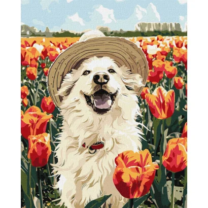 Картина за номерами "Щасливий лабрадор" KHO6623, 40х50 см