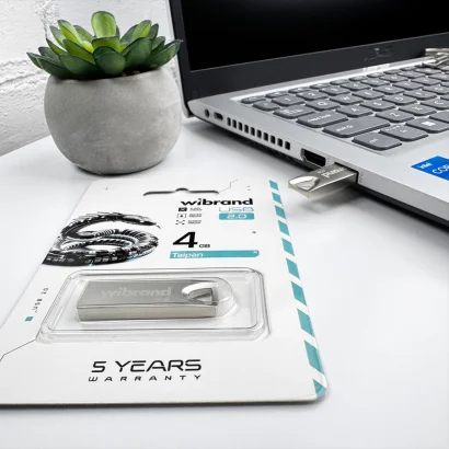 Флеш-накопичувач Wibrand USB 2.0 Taipan 4Gb Silver