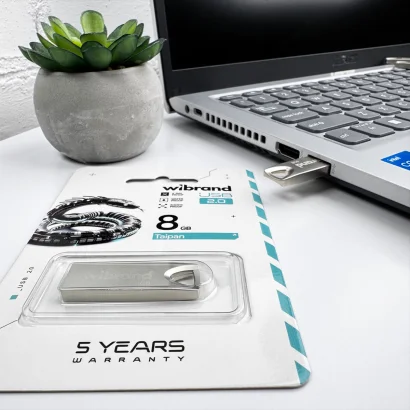 Флеш-накопичувач Wibrand USB 2.0 Taipan 8Gb Silver