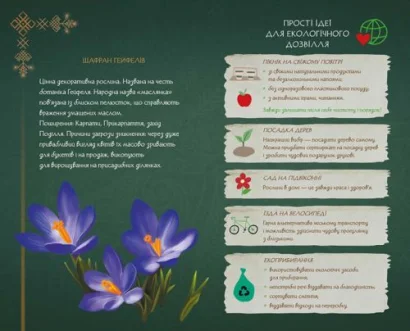 Блокнот &quot;Щоденник мавки: Україночка&quot; (укр)