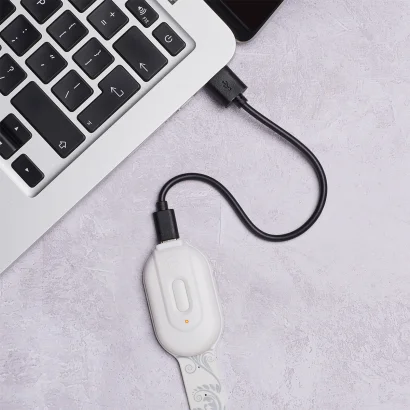 Закладка-ліхтарик FLEXILIGHT Rechargeable серії «Класика» - БІЛІ КВІТИ